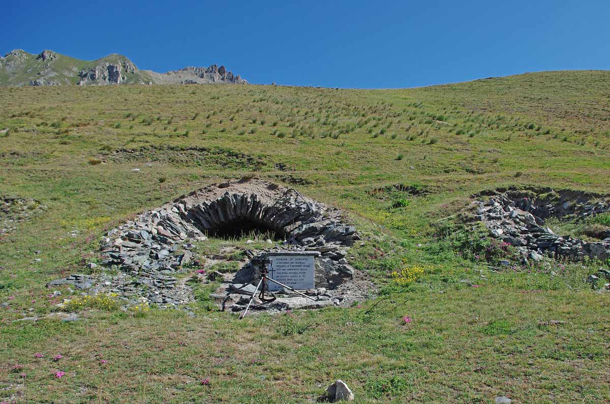 Arvicola delle nevi - Valle Stura di Demonte